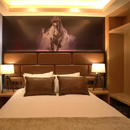 מלון The גלוואיי